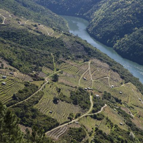 Miradoiro A Capela