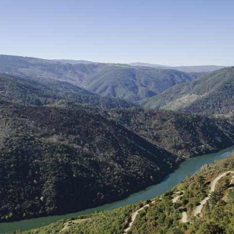 Miradoiro A Capela