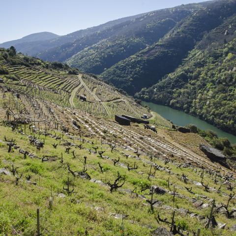 Ribeira de Vilachá