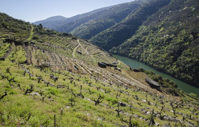 Ribeira de Vilachá