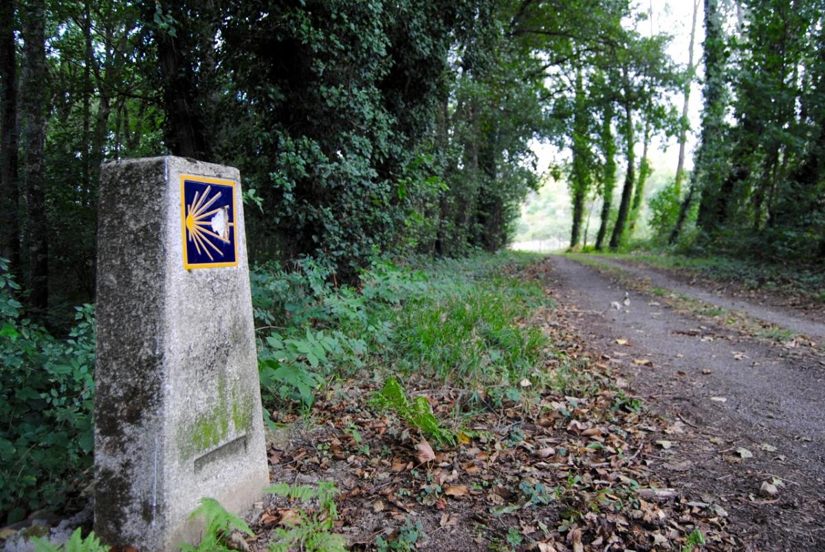 Ruta da Capela de San Vitoiro á Mina da Veneira